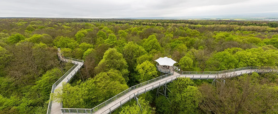 9. Hainich National Park - National Parks in Germany