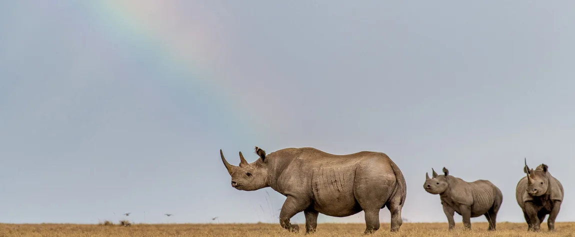 Meru National Park