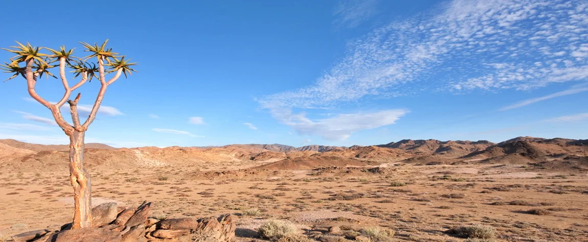 National Parks in South Africa