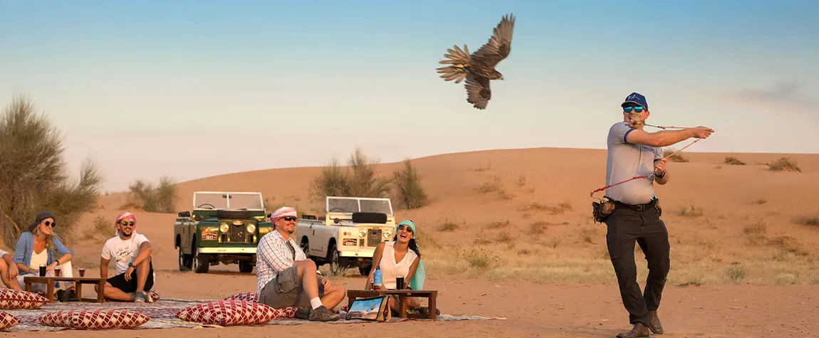 5. Falconry Displays - Dubai Desert Safari