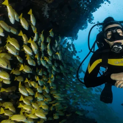 The 10 Most Popular Places for Scuba Diving in Maldives