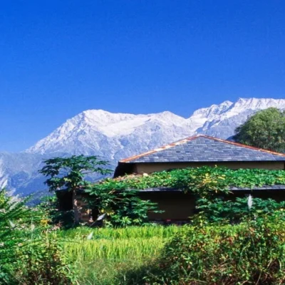 10 Popular places to visit in Palampur for a Memorable Trip