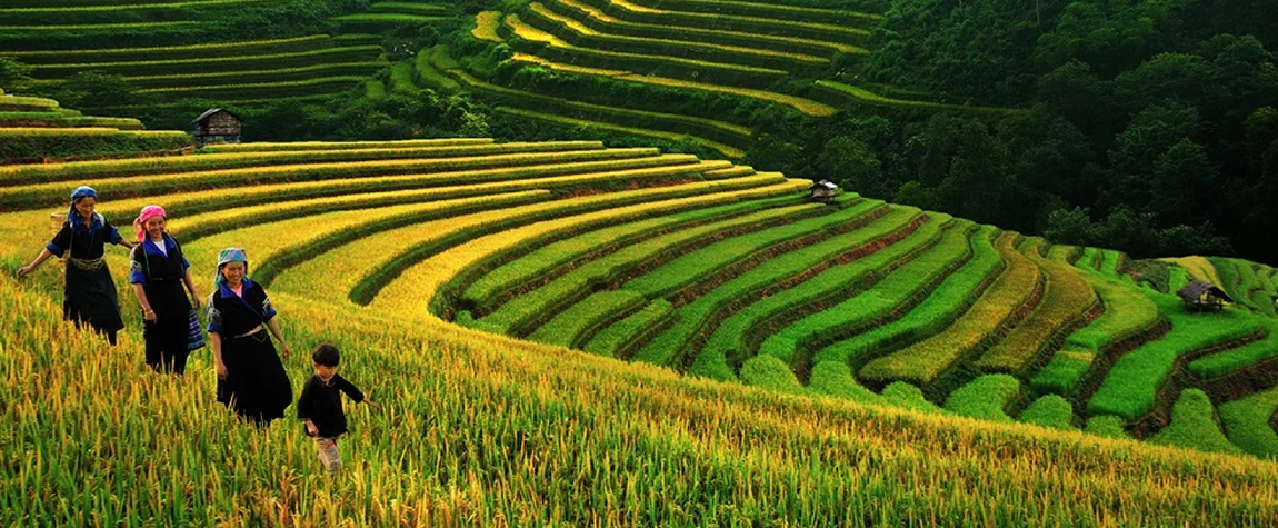 Nature Destinations in Vietnam