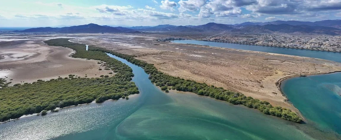 4. Al Qurm Nature Reserve