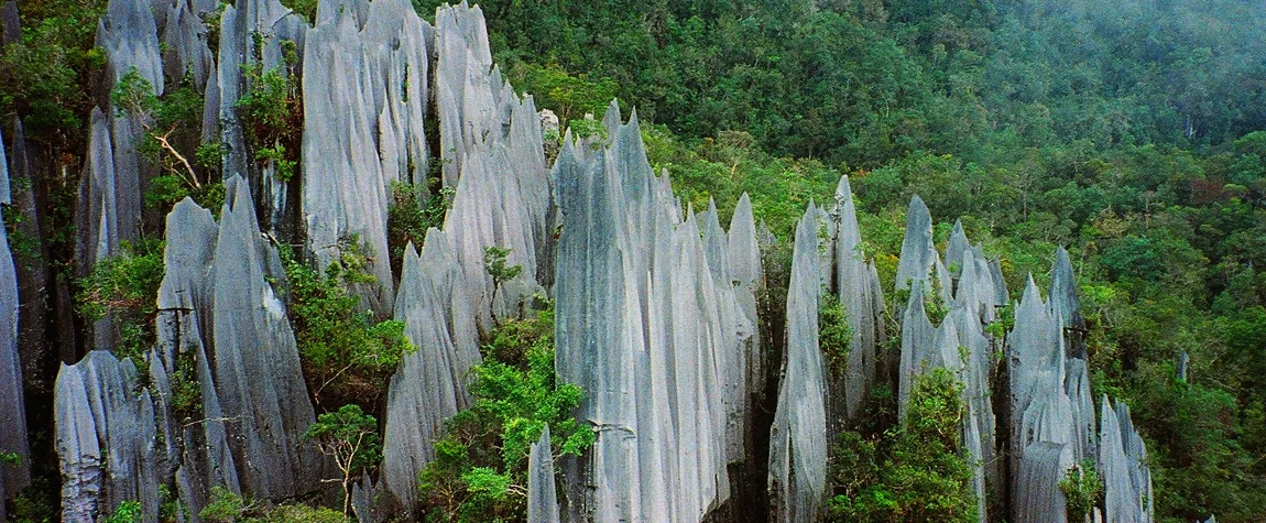 Gunung Mulu National Park, Sarawak Borneo