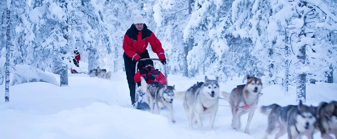 4. Lapland Safaris