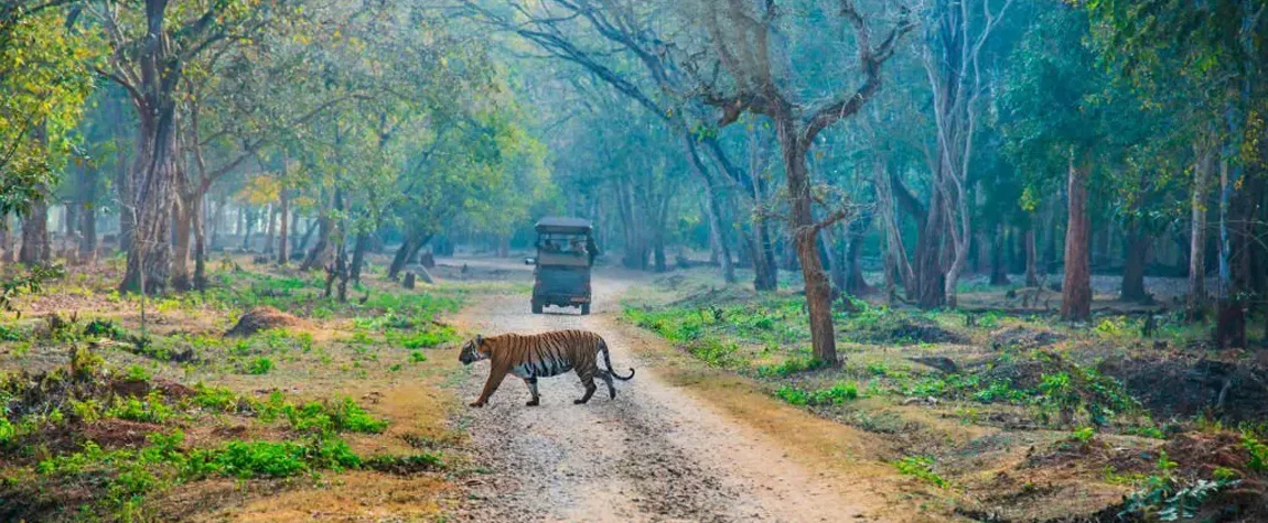 Nagarhole National Park – A Wildlife Sanctuary