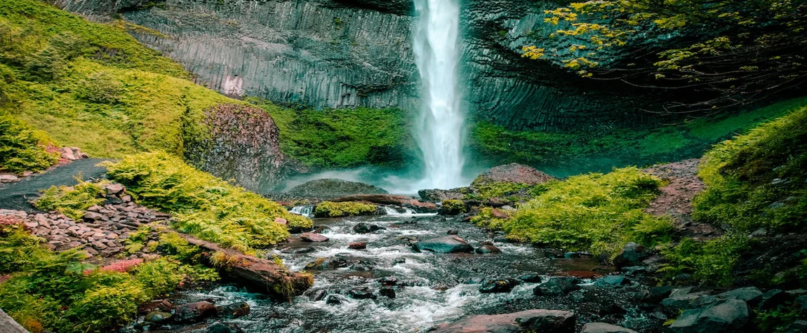 Iruppu Falls – A Serene Waterfall in the Woods