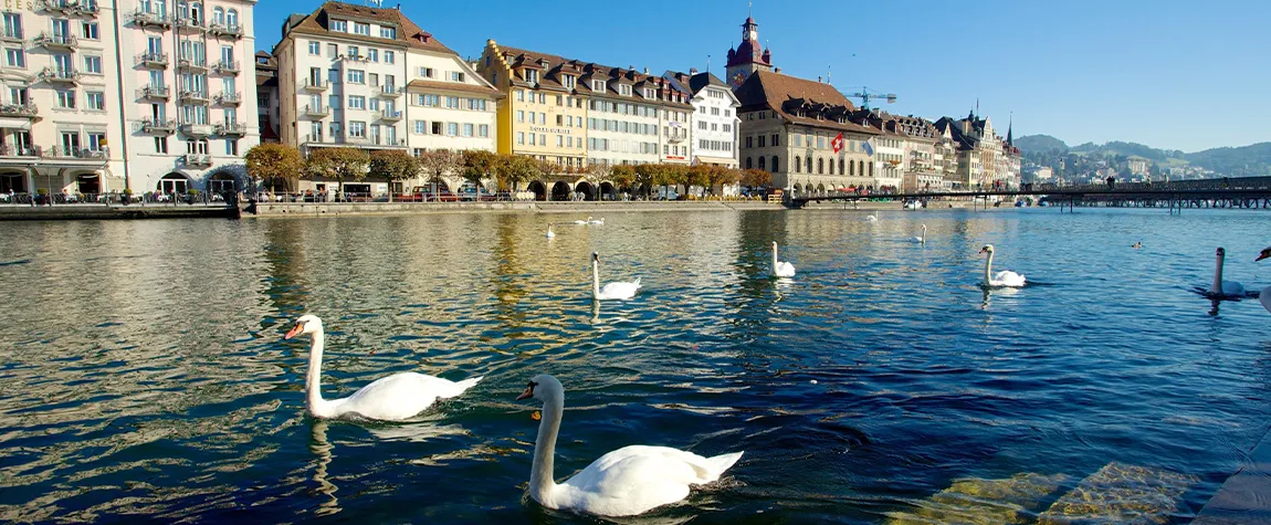 Old Town (Altstadt) Walking tour