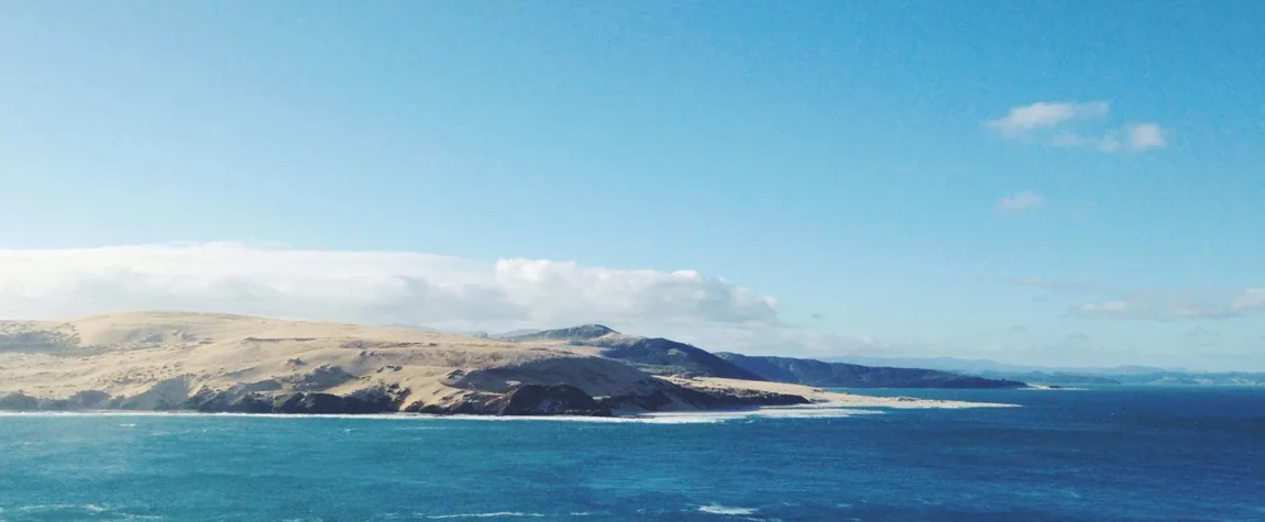 Hokianga Harbour