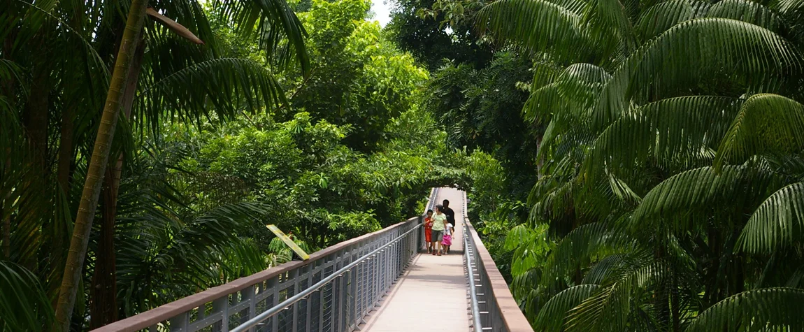 Sentosa Nature Discovery