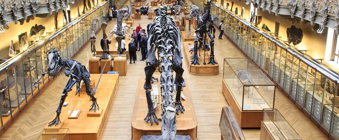 9. Go to the Natural History Museum - Things to Do in London