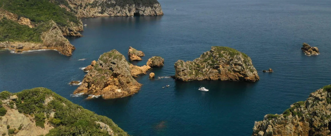 The Poor Knights Islands